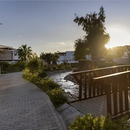 Curio Collection By Hilton Rhodes, Greece *