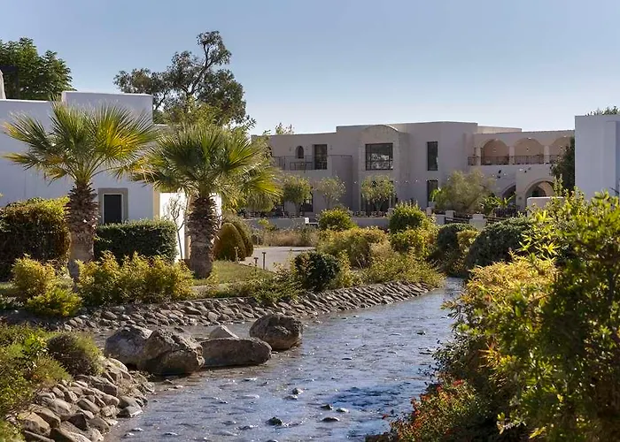 Curio Collection By Hilton Rhodes, Greece *